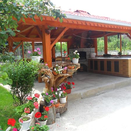 בנסקו Vien Guest House מראה חיצוני תמונה
